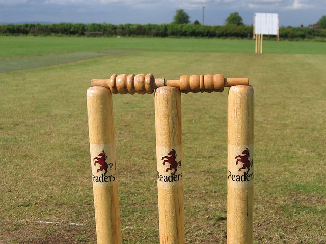 State level cricket in Mildura from today